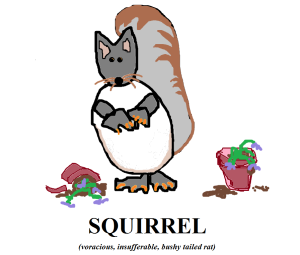 squirrel 2